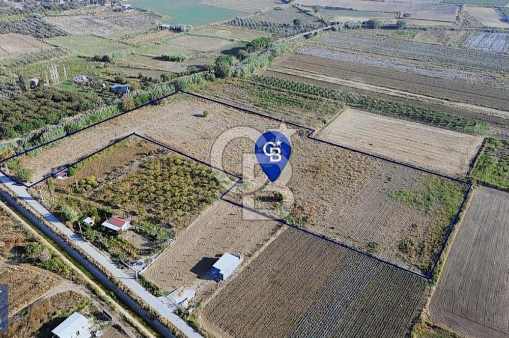 Anayola 400 m. 19.125 m2 Asfalta Cepheli Satılık Tarla