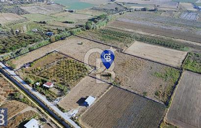 Anayola 400 m. 19.125 m2 Asfalta Cepheli Satılık Tarla