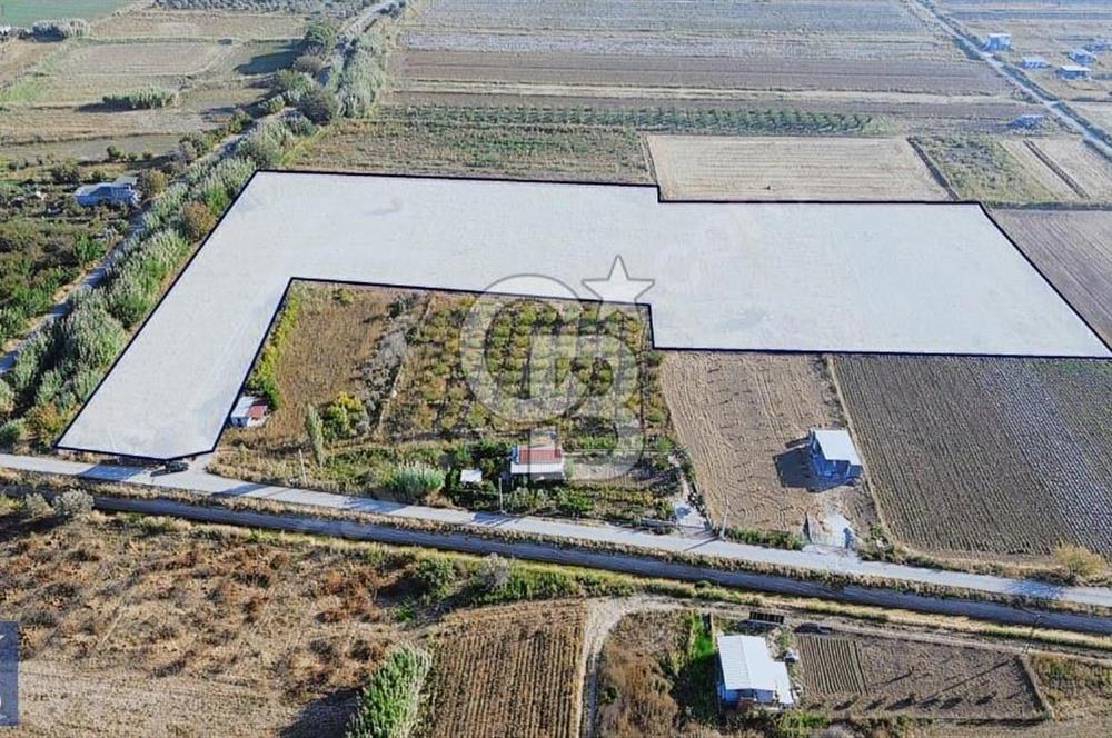 Anayola 400 m. 19.125 m2 Asfalta Cepheli Satılık Tarla