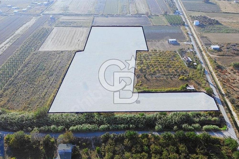 Anayola 400 m. 19.125 m2 Asfalta Cepheli Satılık Tarla