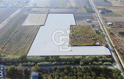 Anayola 400 m. 19.125 m2 Asfalta Cepheli Satılık Tarla