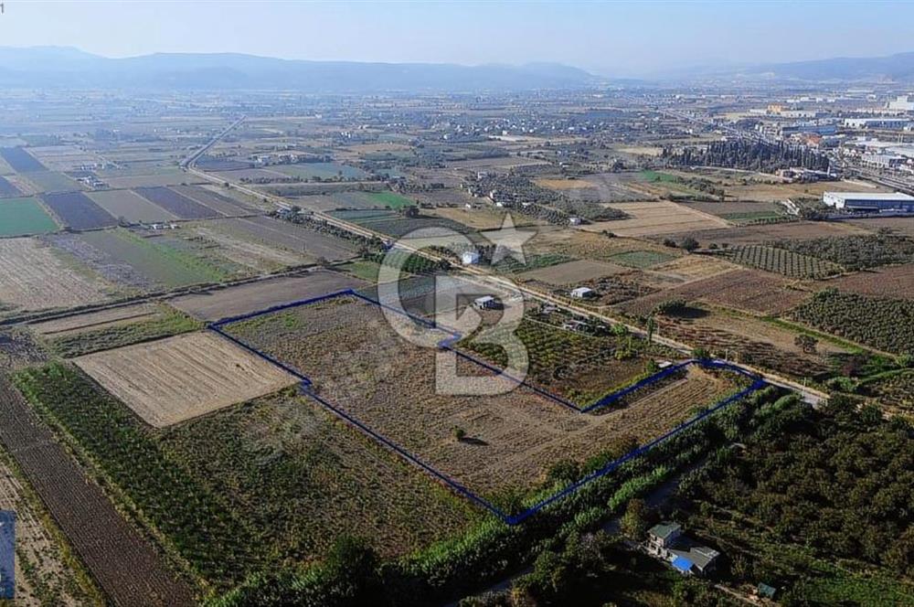 Anayola 400 m. 19.125 m2 Asfalta Cepheli Satılık Tarla