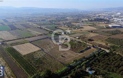Anayola 400 m. 19.125 m2 Asfalta Cepheli Satılık Tarla