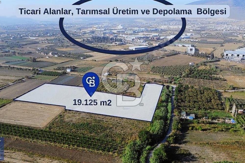 Anayola 400 m. 19.125 m2 Asfalta Cepheli Satılık Tarla