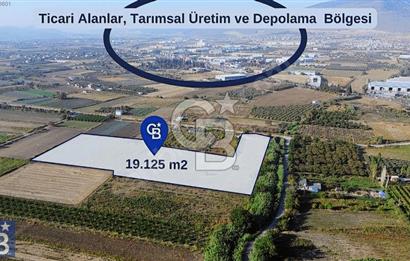 Anayola 400 m. 19.125 m2 Asfalta Cepheli Satılık Tarla