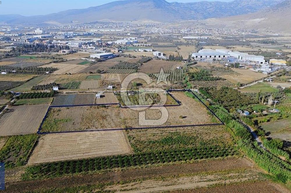 Anayola 400 m. 19.125 m2 Asfalta Cepheli Satılık Tarla