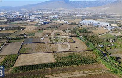Anayola 400 m. 19.125 m2 Asfalta Cepheli Satılık Tarla