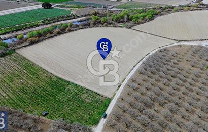 Buruncuk'ta Gediz Kenarında Çok Verimli 17.416 m2 Satılık Tarla