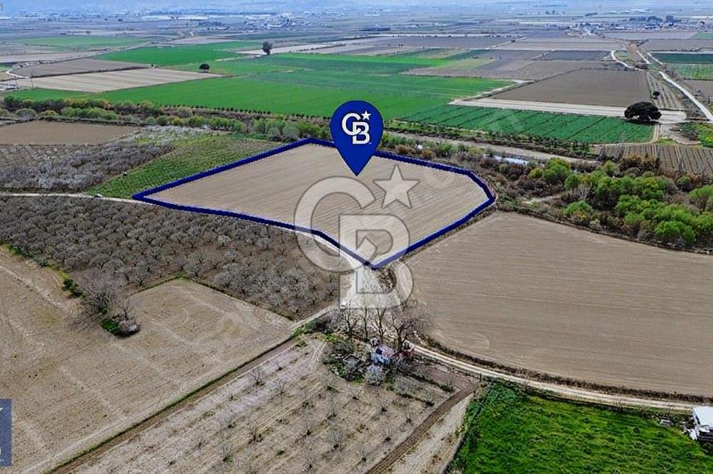 Buruncuk'ta Gediz Kenarında Çok Verimli 17.416 m2 Satılık Tarla