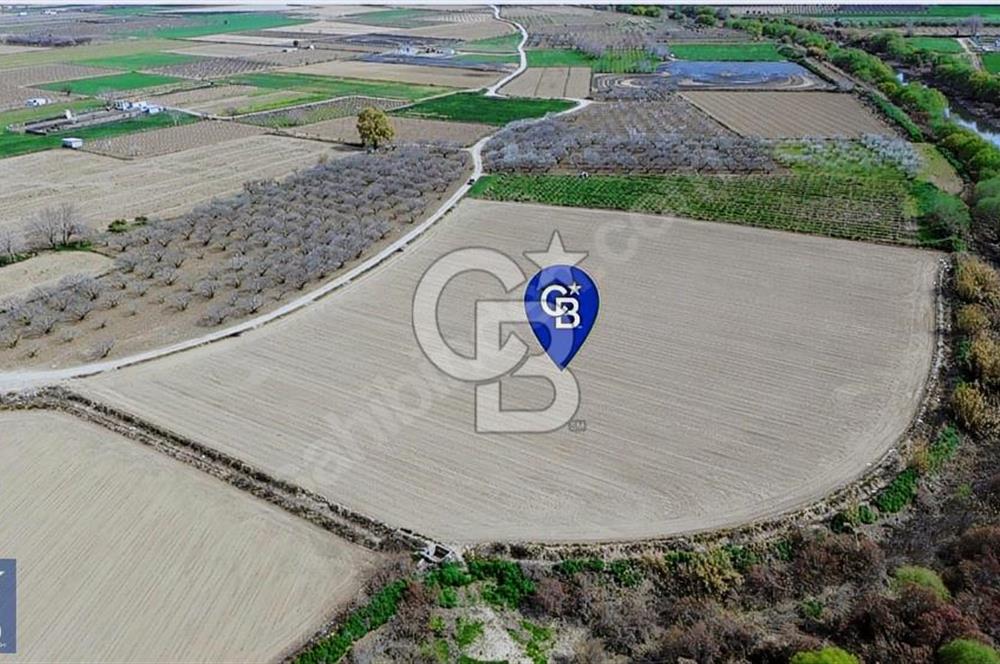Buruncuk'ta Gediz Kenarında Çok Verimli 17.416 m2 Satılık Tarla