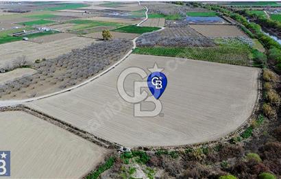 Buruncuk'ta Gediz Kenarında Çok Verimli 17.416 m2 Satılık Tarla
