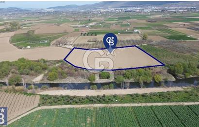 Buruncuk'ta Gediz Kenarında Çok Verimli 17.416 m2 Satılık Tarla