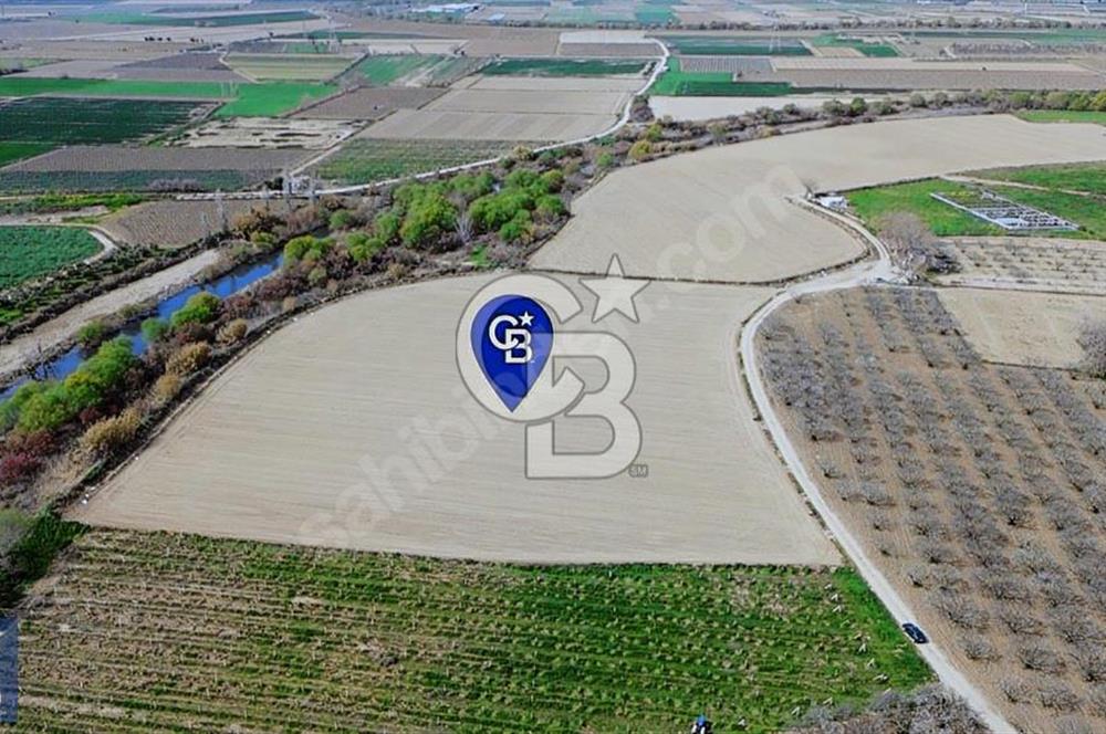 Buruncuk'ta Gediz Kenarında Çok Verimli 17.416 m2 Satılık Tarla