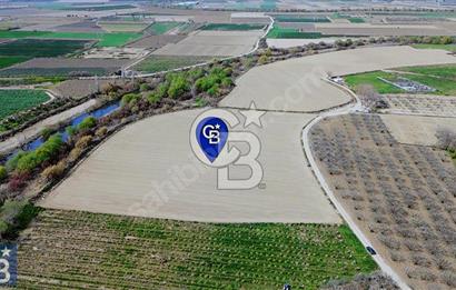 Buruncuk'ta Gediz Kenarında Çok Verimli 17.416 m2 Satılık Tarla