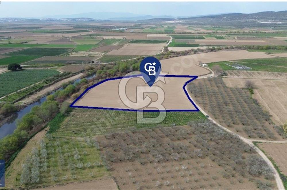 Buruncuk'ta Gediz Kenarında Çok Verimli 17.416 m2 Satılık Tarla