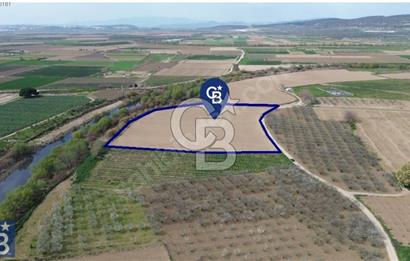 Buruncuk'ta Gediz Kenarında Çok Verimli 17.416 m2 Satılık Tarla