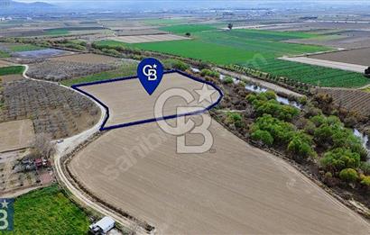 Buruncuk'ta Gediz Kenarında Çok Verimli 17.416 m2 Satılık Tarla