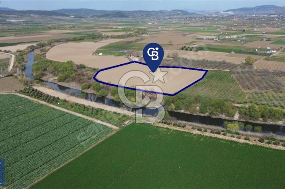 Buruncuk'ta Gediz Kenarında Çok Verimli 17.416 m2 Satılık Tarla