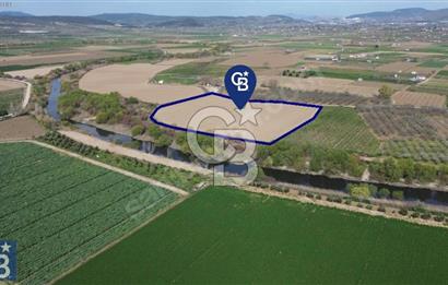Buruncuk'ta Gediz Kenarında Çok Verimli 17.416 m2 Satılık Tarla