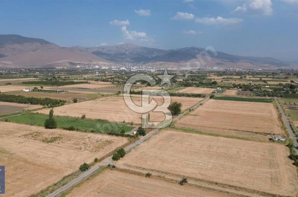 Helvacı'da 2413 m2; 50 Ağaçlı+Su+Konteynerli Hobi Bahçesi