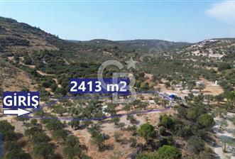 Helvacı'da 2413 m2; 50 Ağaçlı+Su+Konteynerli Hobi Bahçesi