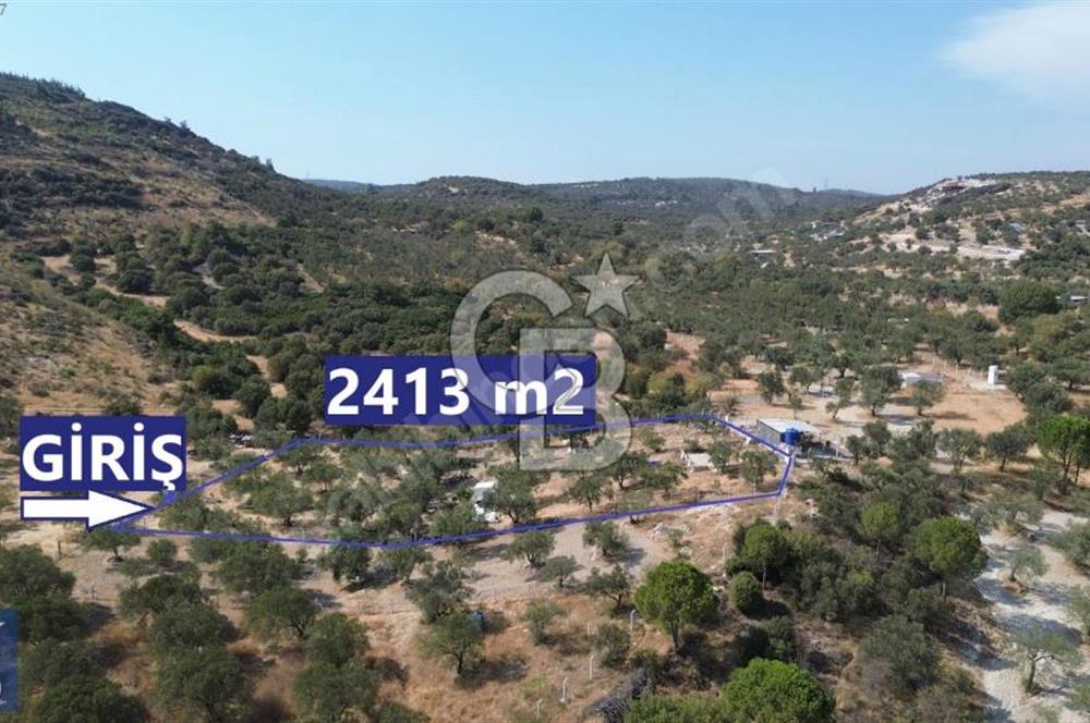 Helvacı'da 2413 m2; 50 Ağaçlı+Su+Konteynerli Hobi Bahçesi