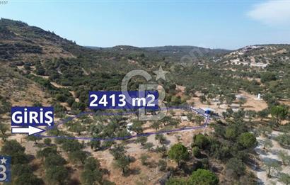 Helvacı'da 2413 m2; 50 Ağaçlı+Su+Konteynerli Hobi Bahçesi