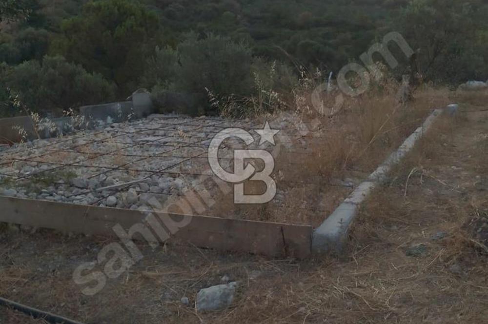 Helvacı'da 2413 m2; 50 Ağaçlı+Su+Konteynerli Hobi Bahçesi