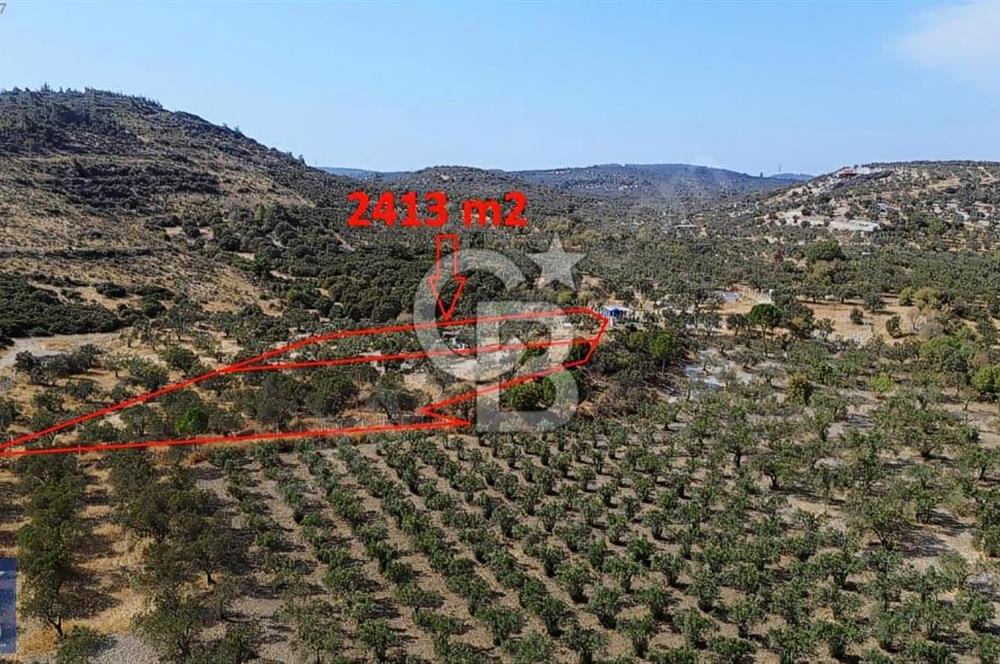 Helvacı'da 2413 m2; 50 Ağaçlı+Su+Konteynerli Hobi Bahçesi