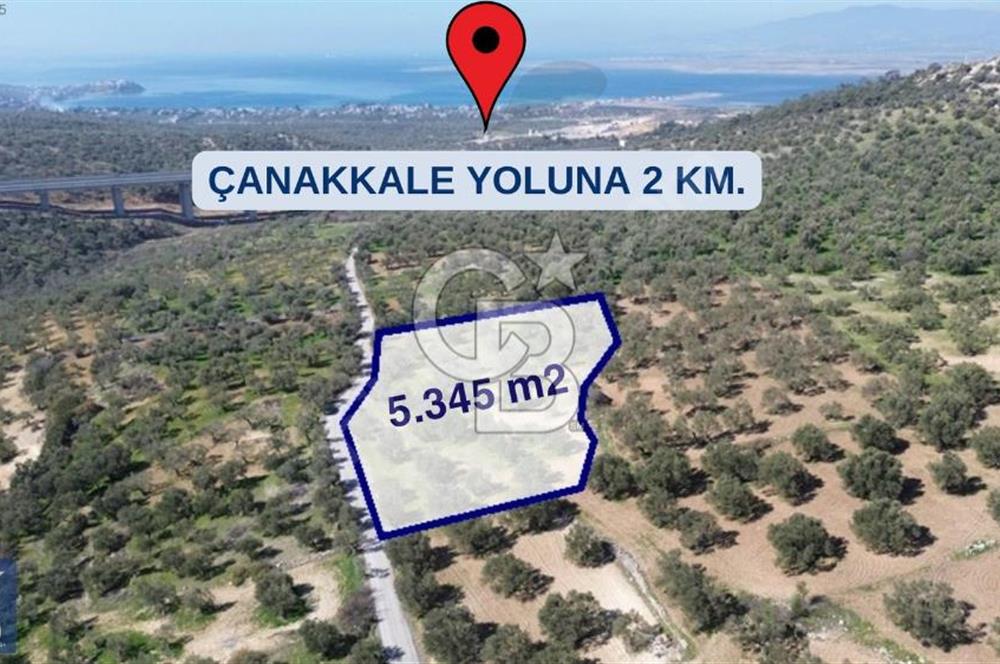 Aşağışakran'da Yola Cephe 5345 m2 60 Ağaçlı Zeytinlik