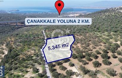 Aşağışakran'da Yola Cephe 5345 m2 60 Ağaçlı Zeytinlik