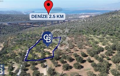 Aşağışakran'da Yola Cephe 5345 m2 60 Ağaçlı Zeytinlik