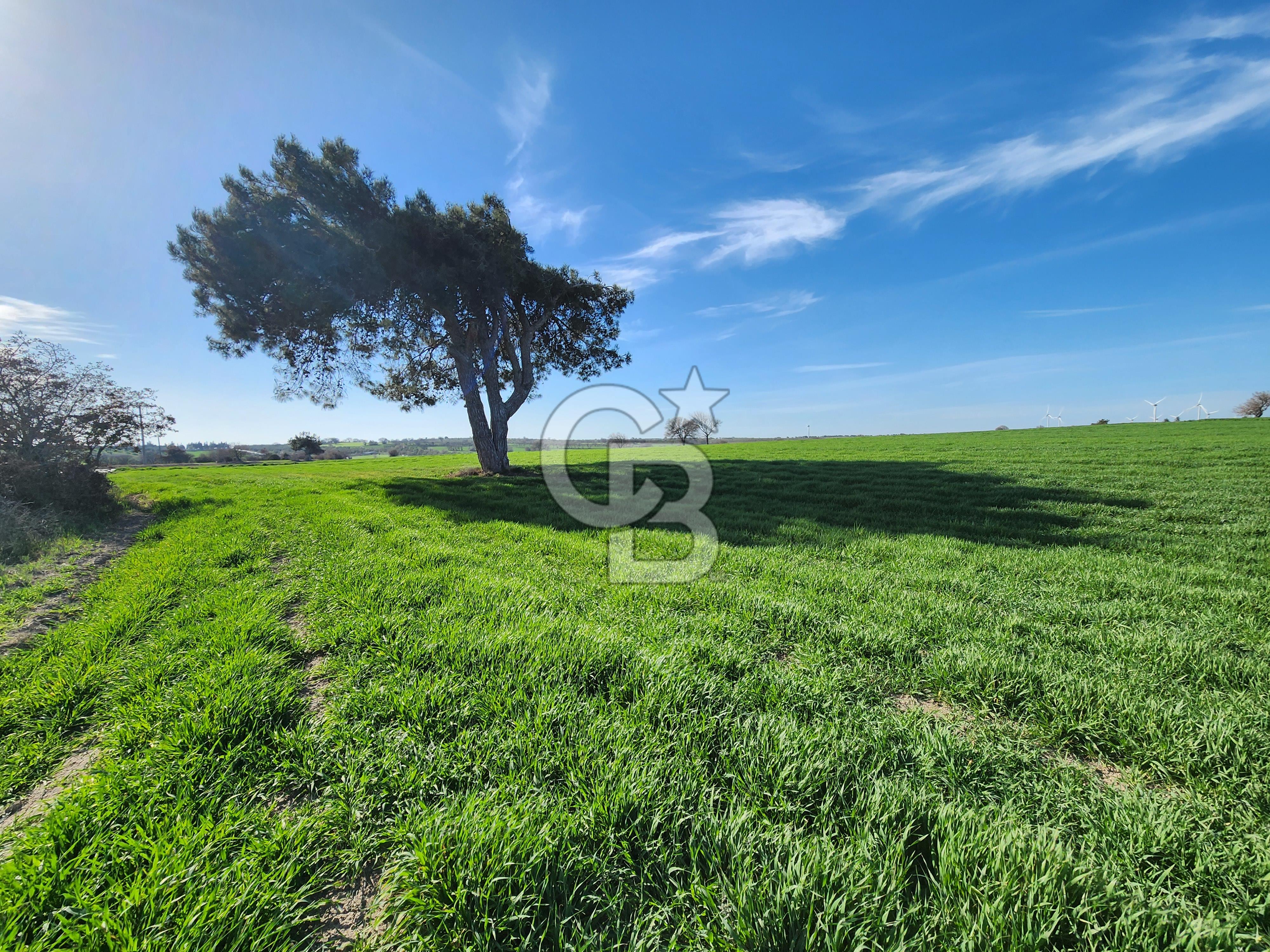 ÇANAKKALE GEYİKLİ KUMBURUN'DA YATIRIMLIK SATILIK TARLA
