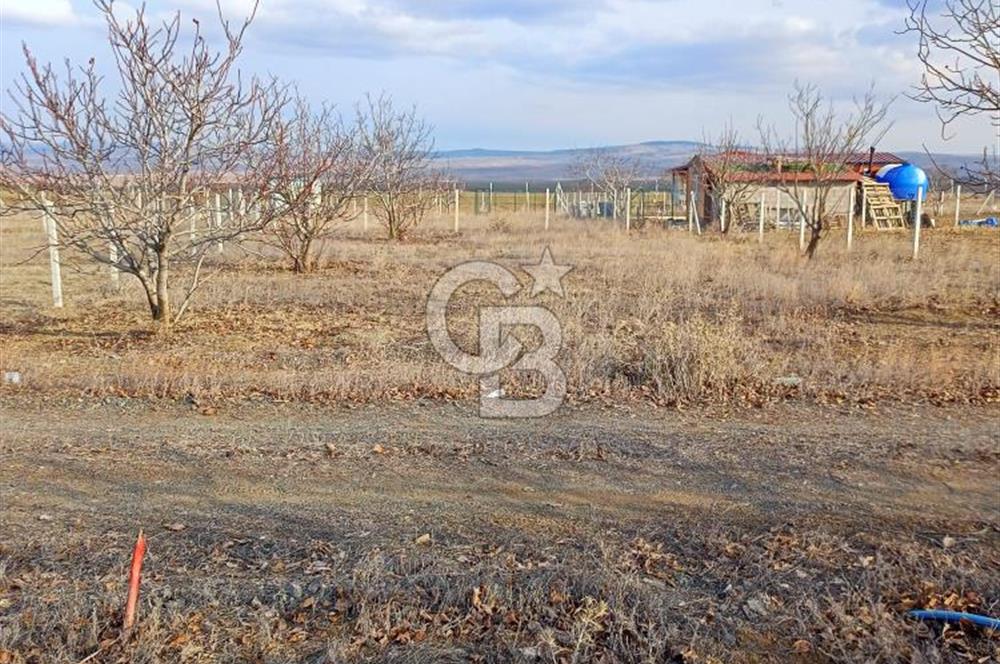 GÖLBAŞI KARAALİ 450 m2 ŞEBEKE SUYU HAZIR HOBİ BAHÇESİ