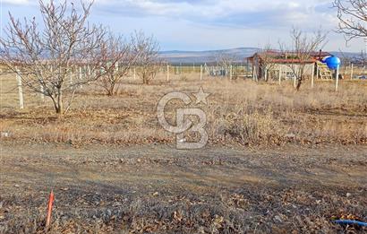 GÖLBAŞI KARAALİ 450 m2 ŞEBEKE SUYU HAZIR HOBİ BAHÇESİ
