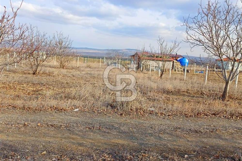 GÖLBAŞI KARAALİ 450 m2 ŞEBEKE SUYU HAZIR HOBİ BAHÇESİ