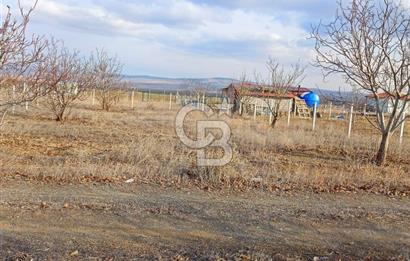 GÖLBAŞI KARAALİ 450 m2 ŞEBEKE SUYU HAZIR HOBİ BAHÇESİ