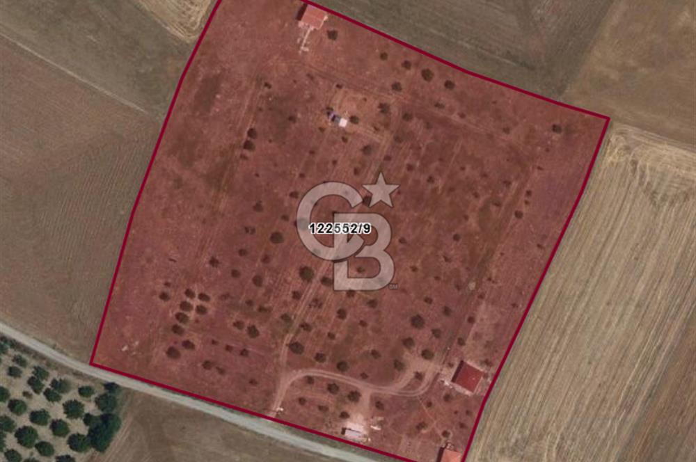 GÖLBAŞI KARAALİ 450 m2 ŞEBEKE SUYU HAZIR HOBİ BAHÇESİ