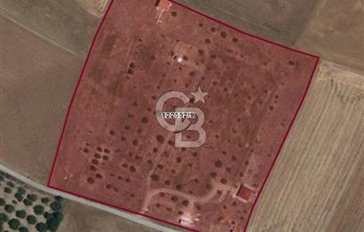 GÖLBAŞI KARAALİ 450 m2 ŞEBEKE SUYU HAZIR HOBİ BAHÇESİ