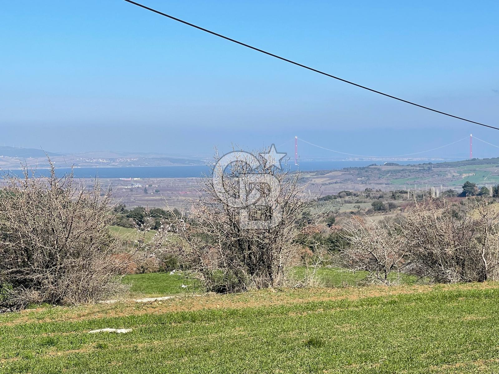 ÇANAKKALE UMURBEY'DE BOĞAZ KÖPRÜSÜ MANZARALI YATIRIMLIK TARLA