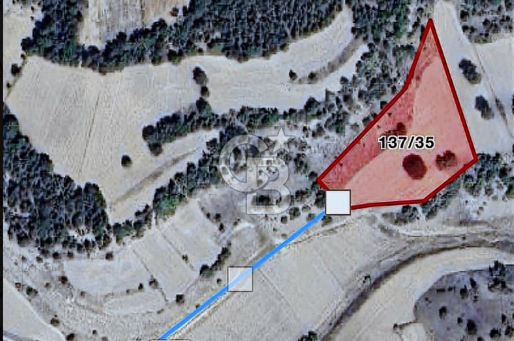 KÜTAHYADA 6.833 M2 OSB BÖLGESİ YATIRIMLIK