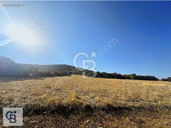 Bekilli Yeni'de Satılık Arazi