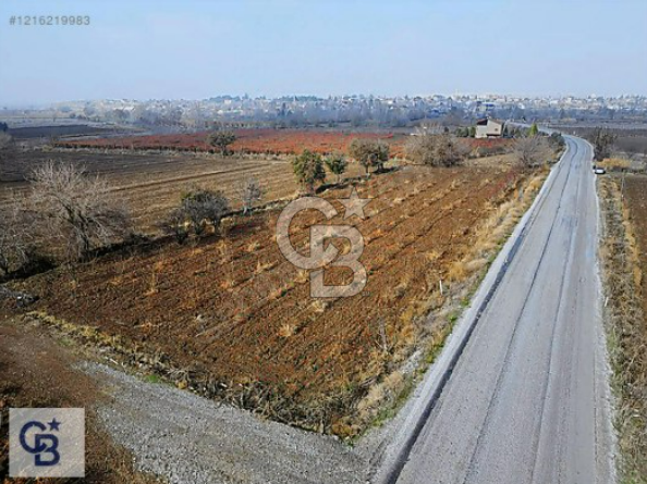 Honaz Kızılyer'de Asfalt Cephe Satılık Bahçe