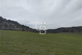 BURSA KELES CUMA ESKİ KOCAYAYLA YOLUNDA SATILIK TARLA