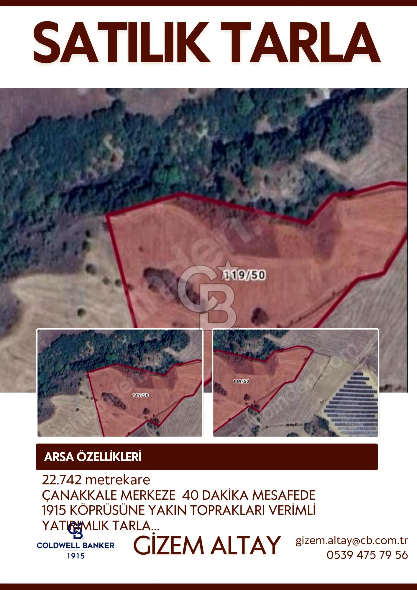 ÇANAKKALE LAPSEKİ'DE TARLA