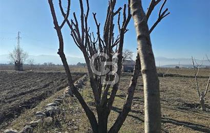 Acıpayam Dodurgalar da 70 M² Ruhsatlı Daireli satılık Arazi 