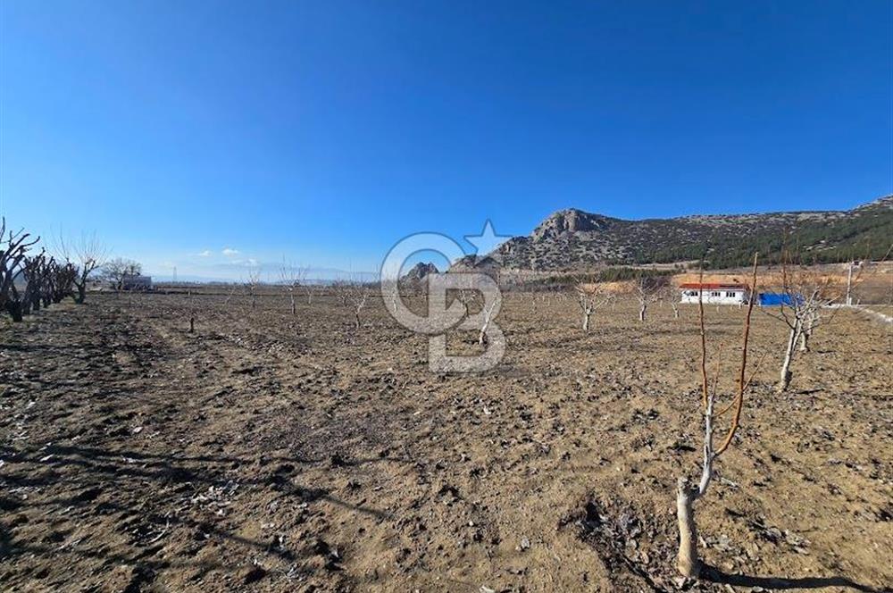 Acıpayam Dodurgalar da 70 M² Ruhsatlı Daireli satılık Arazi 