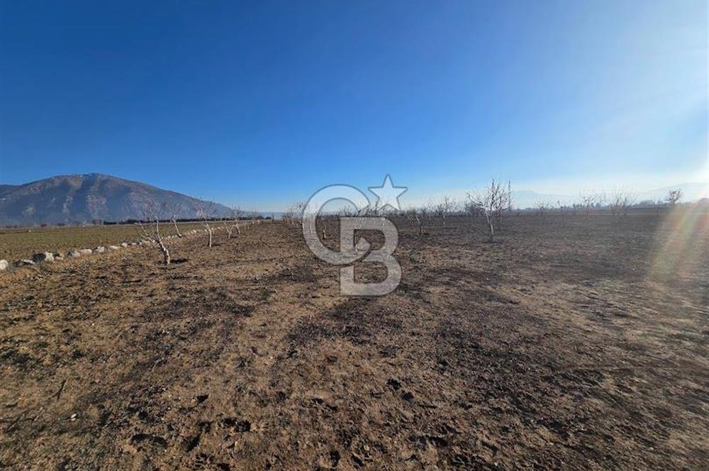 Acıpayam Dodurgalar da 70 M² Ruhsatlı Daireli satılık Arazi 