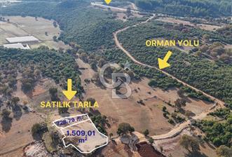 ANTALYA KAŞ SARILAR'DA SATILIK TARLA