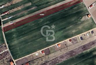 PURSAKLAR'da KÖK TAPULU SATILIK 6800 M² TARLA